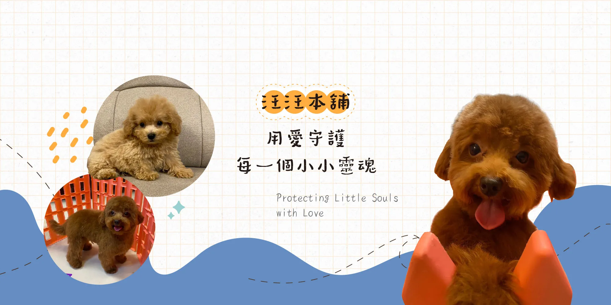 汪汪本舖松山店 寵物店環境